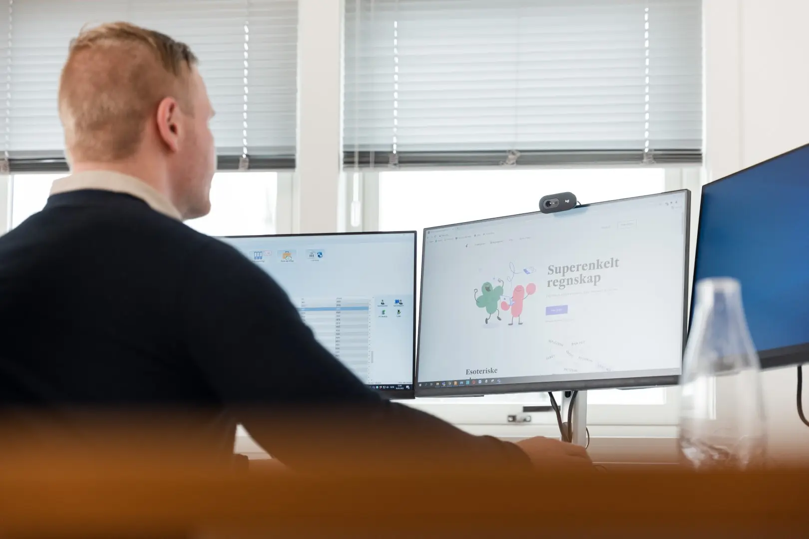 Rådgiver i arbeid med økonomisystemer